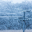 Freezing,Rain,On,Electric,Pole,And,Wire,,Montreal,,9,April,